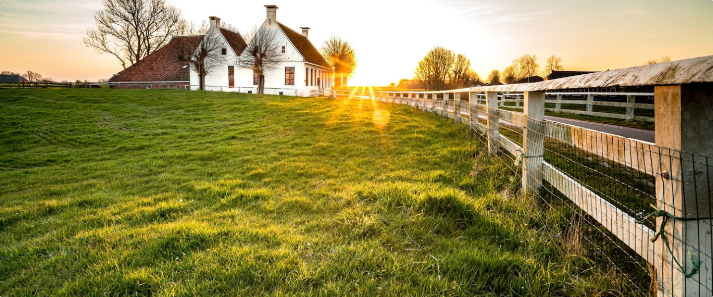 Red Field Ranch