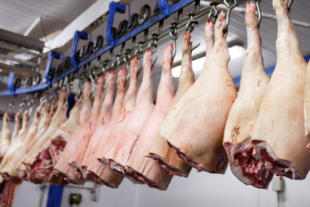 WHOLE SKIN ON HAMS (RAW)