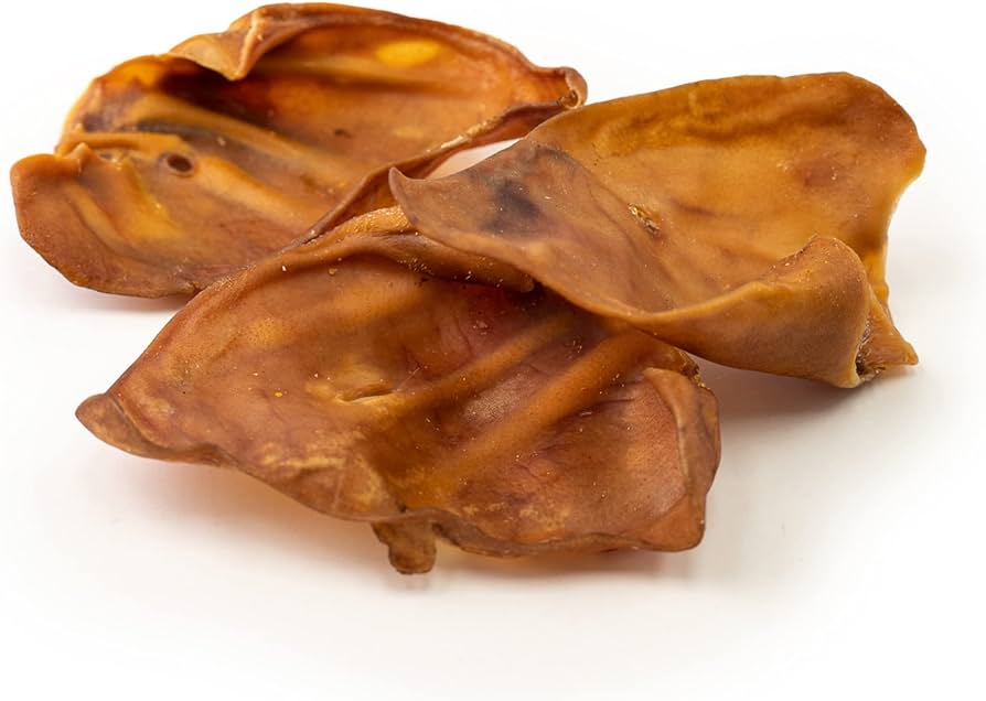 7 Reasons Why Pork Ears are the Go-To Treat For Your Pet